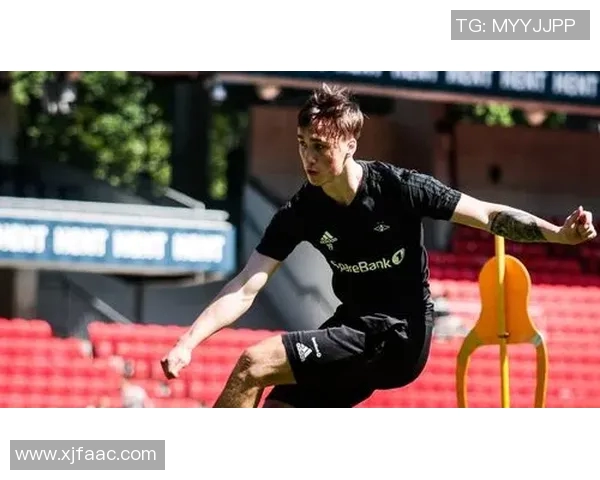 罗森博格对阵凯尔特人赛事分析及预测展望